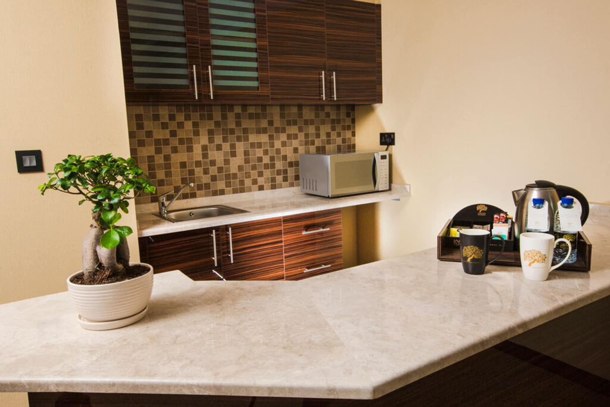 占奈萨拉卜塔酒店 阿布扎比 外观 照片 A kitchen with a small sink